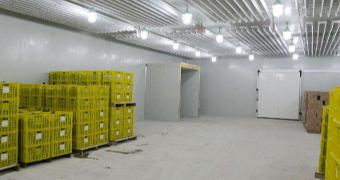 Cold Chain Warehouses