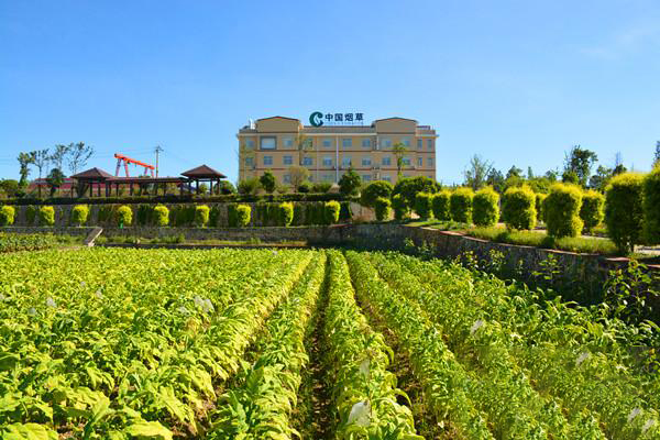 China Tobacco Yongzhou Tobacco Production Technology Center