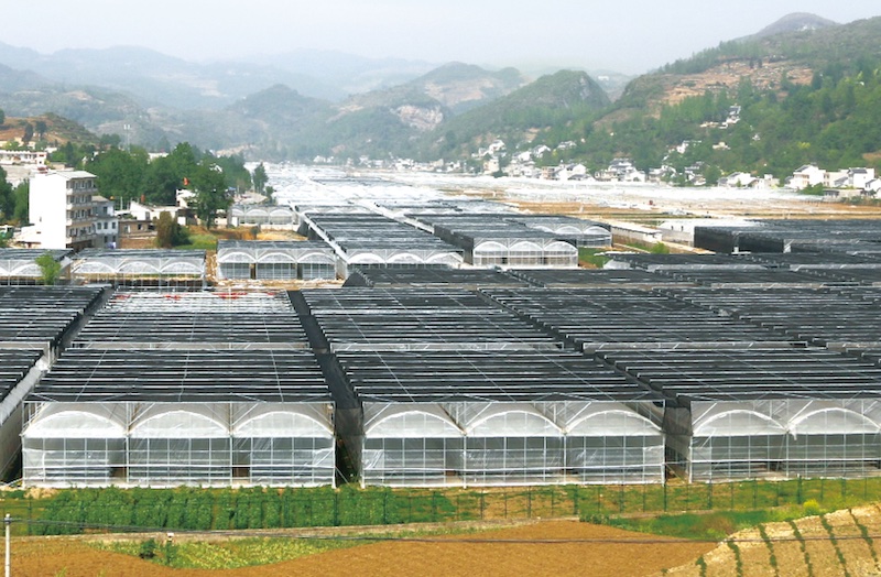 Guizhou Bijie Edible Mushroom Industrial Park
