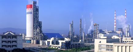 Shaanxi Shanjiao Chemical Co., Ltd.