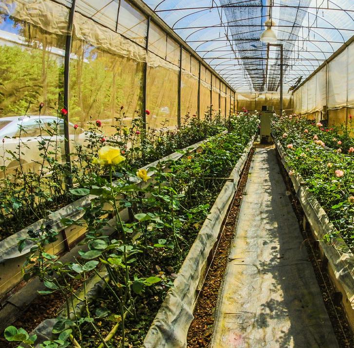 Modern Agriculture